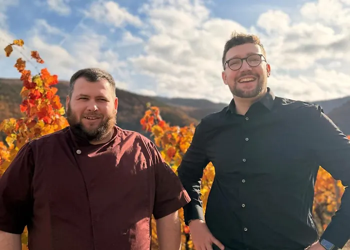 Und Restaurant Zur Kleinen Rebe 酒店 3*