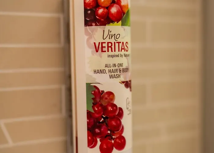 酒店 Und Restaurant Zur Kleinen Rebe 来赫